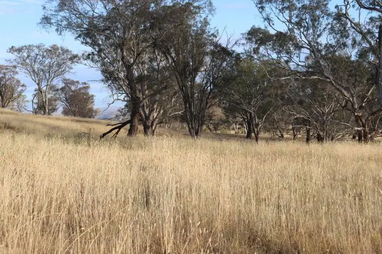 Fourth view of Homely land listing, 224 Boambolo Road, Yass NSW 2582