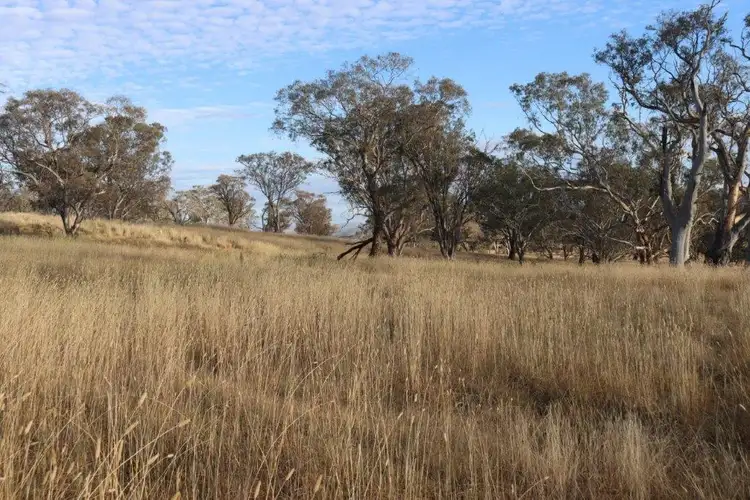 Fifth view of Homely land listing, 224 Boambolo Road, Yass NSW 2582