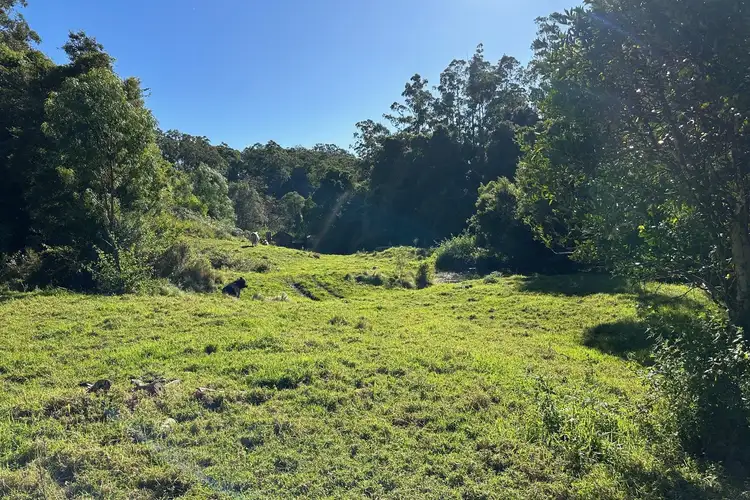 Fourth view of Homely rural property listing, 129 Quartpot Creek Road, Dungog NSW 2420