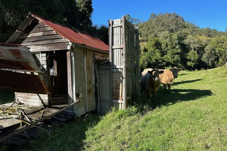 Fifth view of Homely rural property listing, 129 Quartpot Creek Road, Dungog NSW 2420