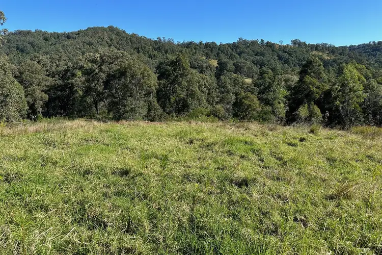 Seventh view of Homely rural property listing, 129 Quartpot Creek Road, Dungog NSW 2420