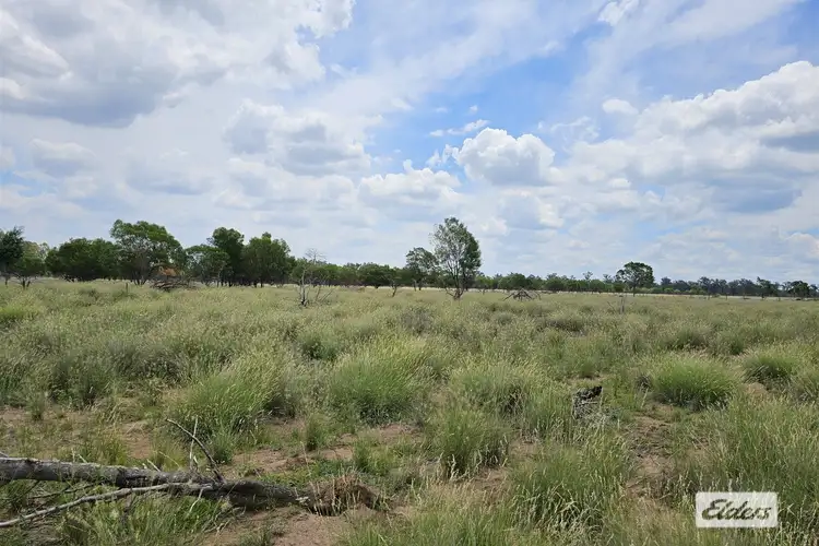 Sixth view of Homely rural property listing, 49 Coates Road, Kowguran QLD 4415