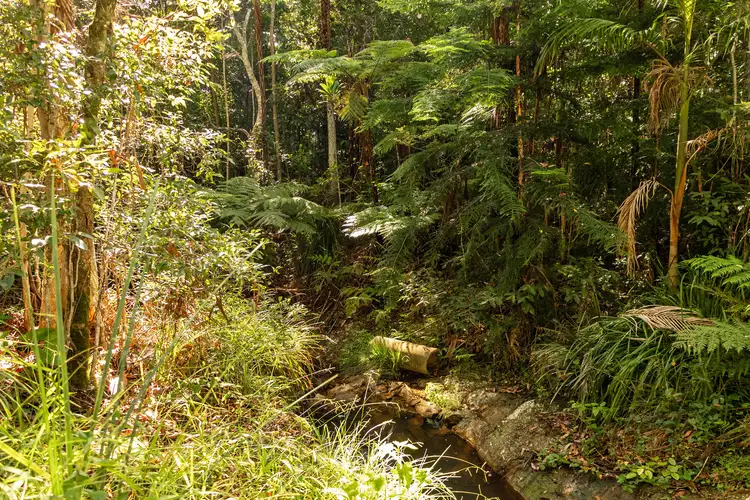 Sixth view of Homely land listing, 618 Binna Burra Road, Beechmont QLD 4211