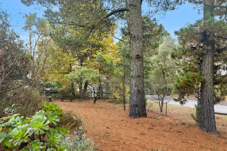 Sixth view of Homely house listing, 11 Golf Links Road, Hepburn VIC 3461