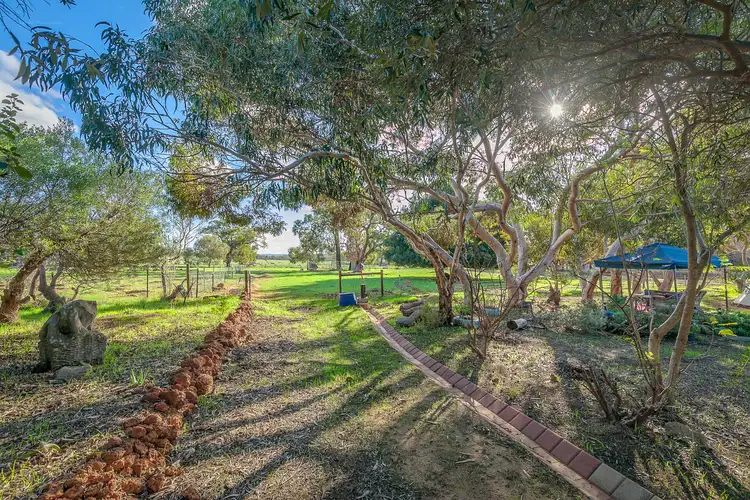 20 Caladenia Close, Lower Chittering WA 6084