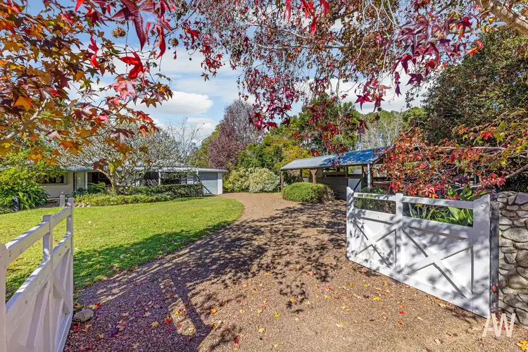 251 Palmwoods-Montville Road, Palmwoods QLD 4555