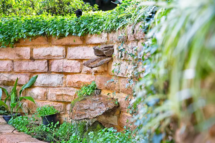 Third view of Homely house listing, 21 Nelson Avenue, Wentworth Falls NSW 2782