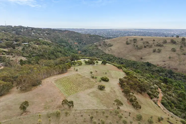 Fifth view of Homely rural property listing, 11 Horsell Road, Belair SA 5052