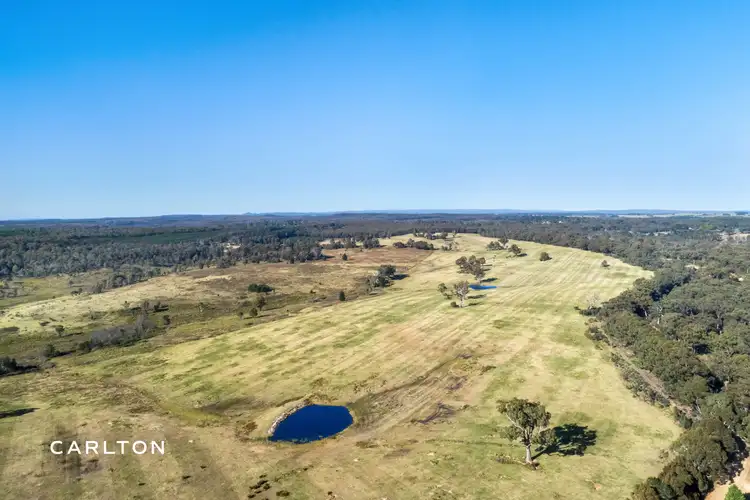 Seventh view of Homely rural property listing, 276 Nandi Road, Wingello NSW 2579