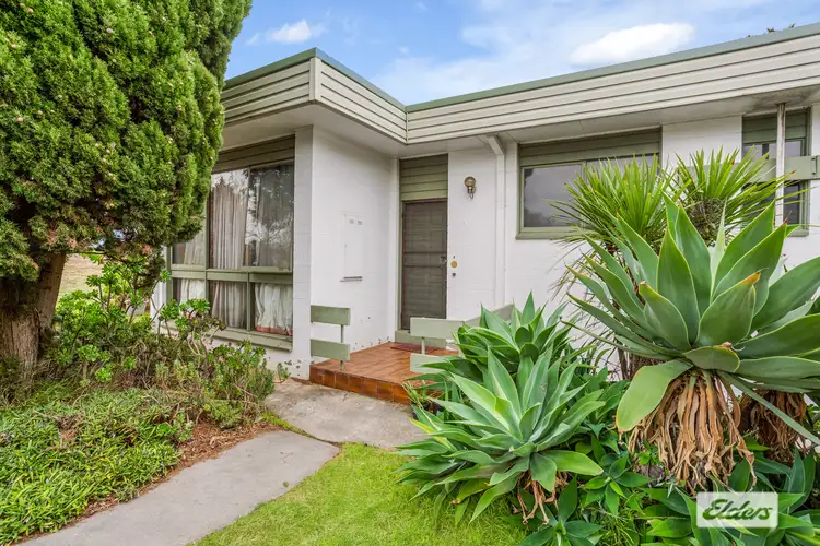 1/12 Harpin Street