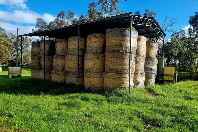 Fourth view of Homely rural property listing, 834 Vasse Highway, Yoongarillup WA 6280