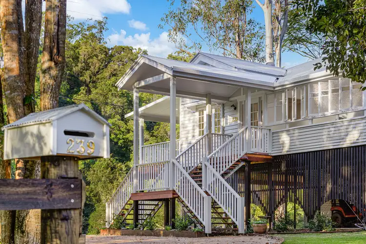 239 Rowlands Creek Road, Uki NSW 2484