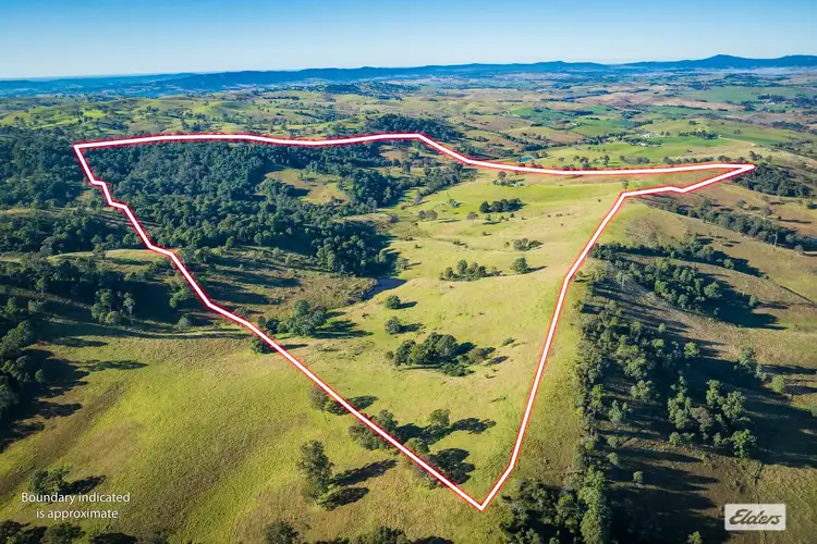 Fifth view of Homely rural property listing, 1556 Buckajo Road, Buckajo NSW 2550