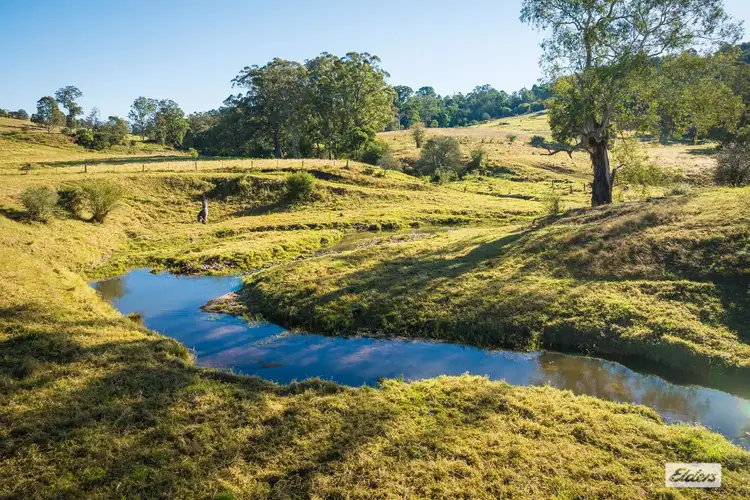 Sixth view of Homely rural property listing, 1556 Buckajo Road, Buckajo NSW 2550
