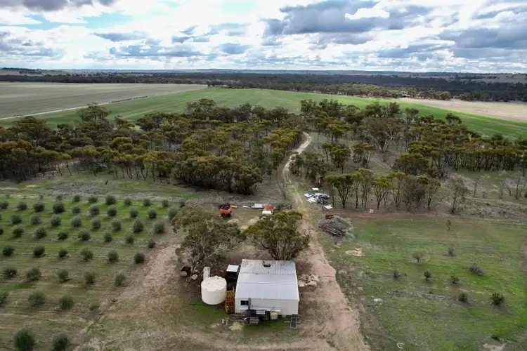 1581 Quellington Road, Caljie WA 6302