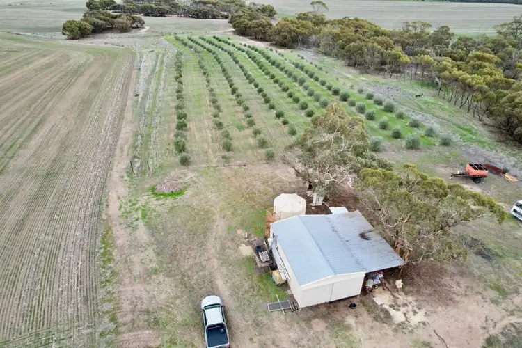 Fourth view of Homely rural property listing, 1581 Quellington Road, Caljie WA 6302
