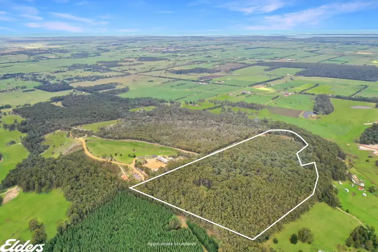 Second view of Homely rural property listing, LOT 1 Whitelaws Track, Devon North VIC 3971