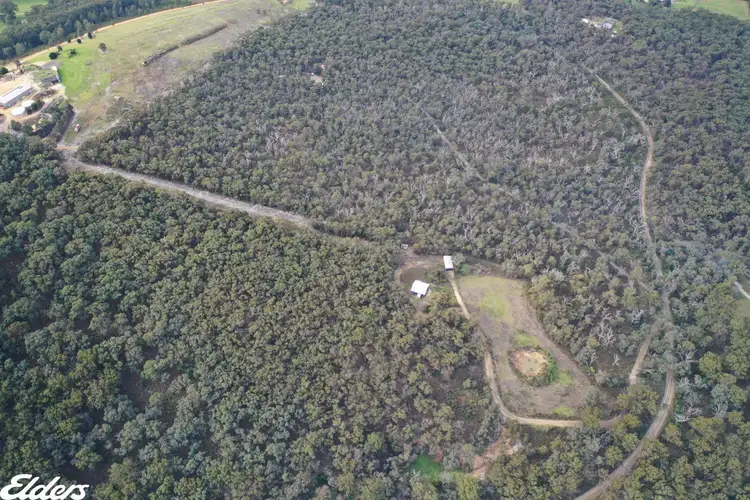 Seventh view of Homely rural property listing, LOT 1 Whitelaws Track, Devon North VIC 3971
