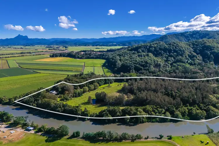 Third view of Homely rural property listing, 710 Dulguigan Road, Dulguigan NSW 2484