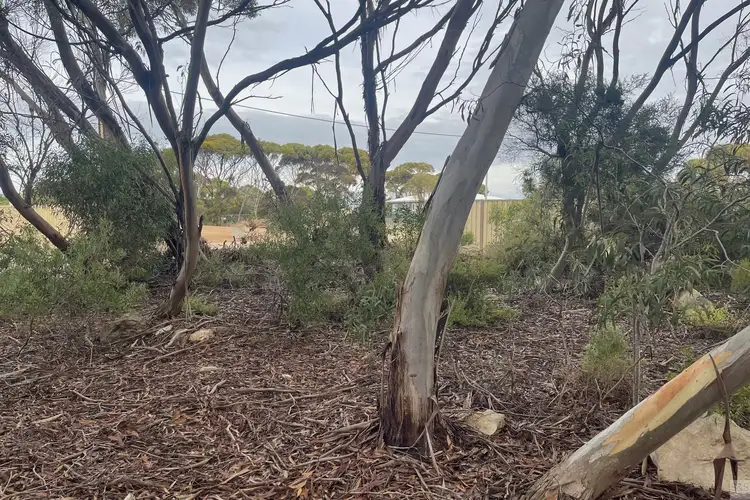 Third view of Homely land listing, 4 Torrens Street, Kingscote SA 5223