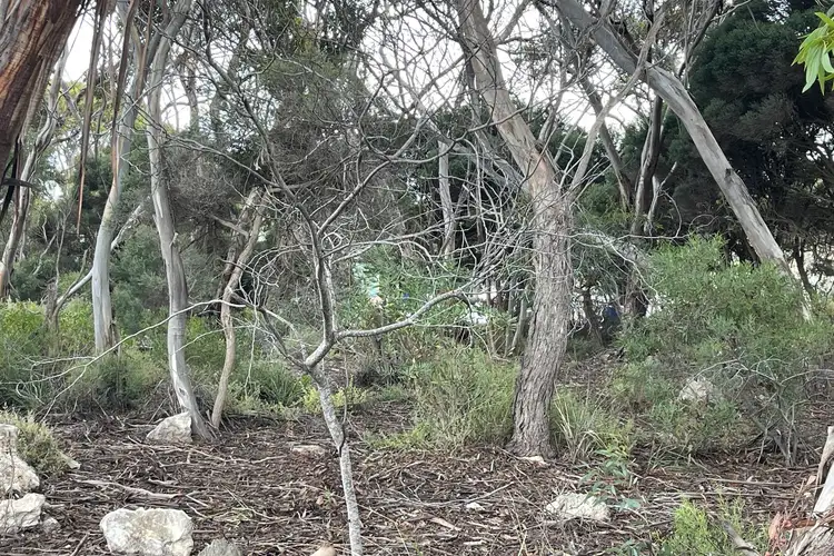 Sixth view of Homely land listing, 4 Torrens Street, Kingscote SA 5223