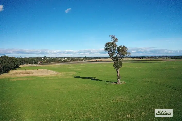 Sixth view of Homely rural property listing, 471 Briagolong Road, Stratford VIC 3862