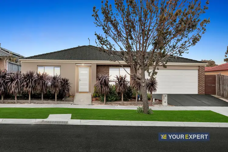 21 Guinea Flower Drive, Cranbourne West VIC 3977
