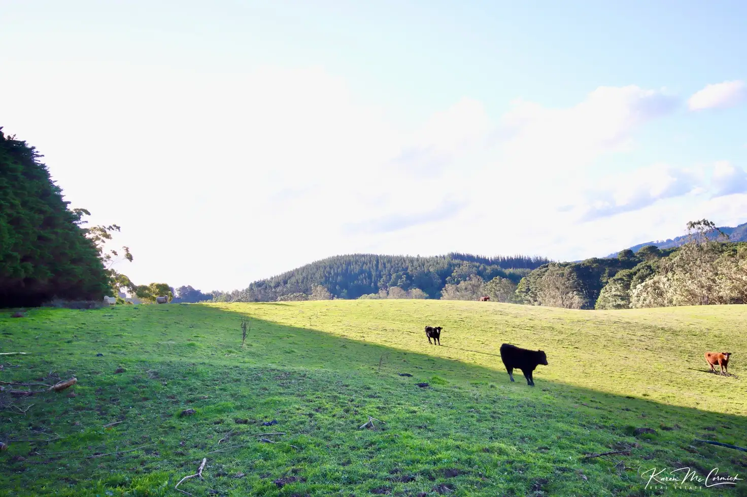 Main view of Homely land listing, 200 Wonga Square Top Road, Wonga VIC 3960