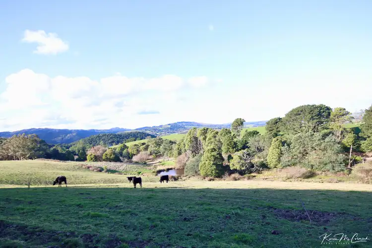 Fifth view of Homely land listing, 200 Wonga Square Top Road, Wonga VIC 3960