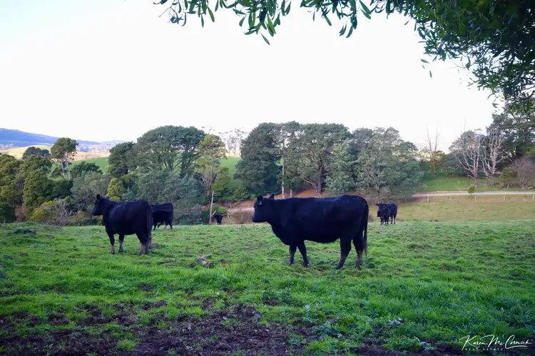 Sixth view of Homely land listing, 200 Wonga Square Top Road, Wonga VIC 3960