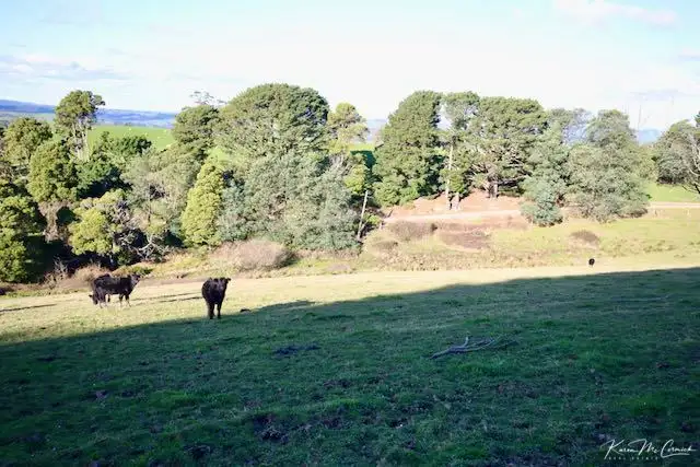 Seventh view of Homely land listing, 200 Wonga Square Top Road, Wonga VIC 3960