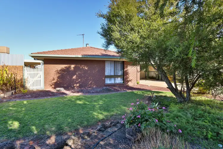 Main view of Homely house listing, 229 Twelfth Street, Mildura VIC 3500