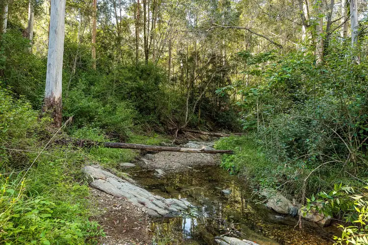 Second view of Homely land listing, Campbells Pocket Road, Campbells Pocket QLD 4521