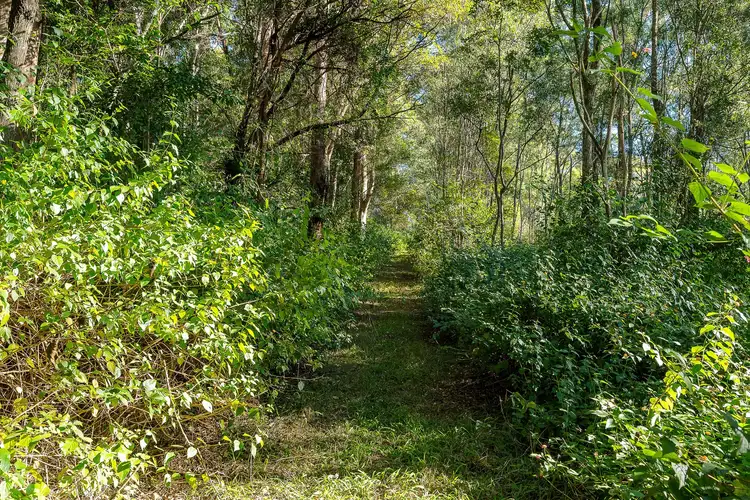 Fifth view of Homely land listing, Campbells Pocket Road, Campbells Pocket QLD 4521