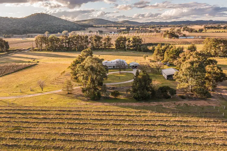 142 Black Springs Road, Mudgee NSW 2850