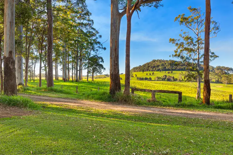 78 MacKenzie Road, Evelyn QLD 4888