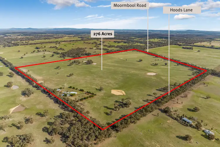 Second view of Homely rural property listing, 319 Hoods Lane, Moormbool West VIC 3523