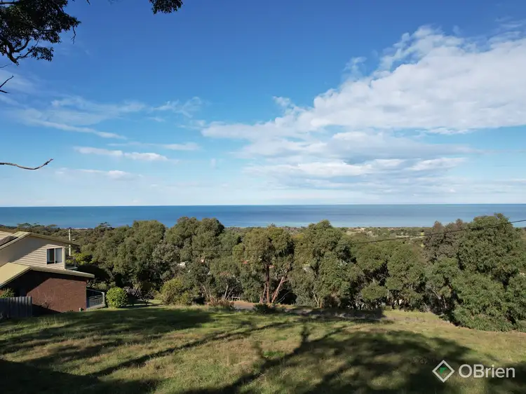 14 McRae Street