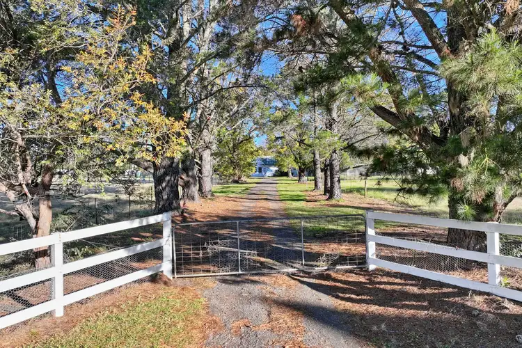 Fifth view of Homely house listing, 55 Boundary Road, Buxton NSW 2571