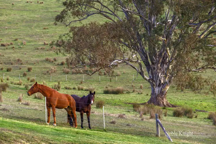 Fourth view of Homely rural property listing, 61 Ti Tree Creek Road, Yea VIC 3717