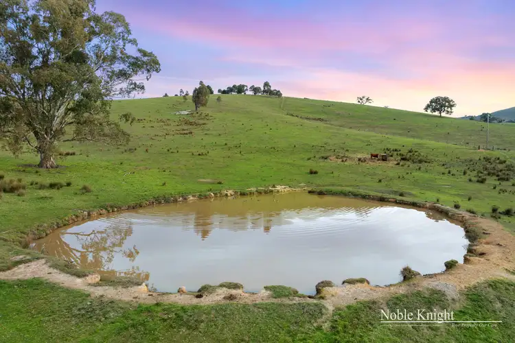 Fifth view of Homely rural property listing, 61 Ti Tree Creek Road, Yea VIC 3717