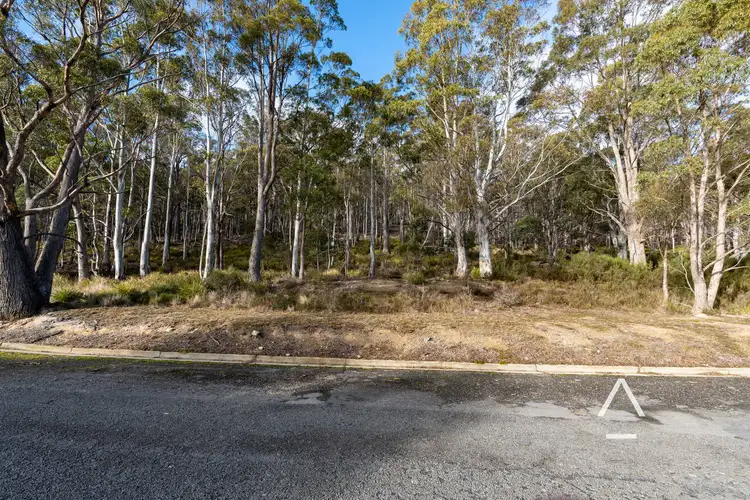 Fifth view of Homely land listing, 42-46 Lee Street, Rossarden TAS 7213