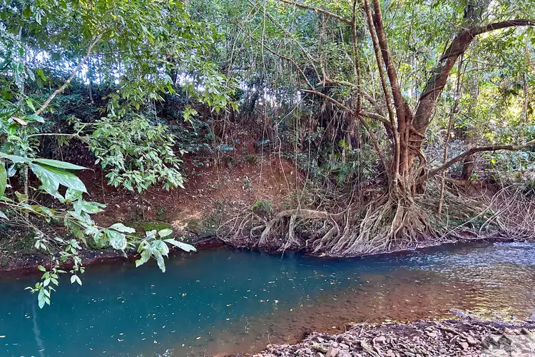Third view of Homely rural property listing, 431 Utchee Creek Road, Utchee Creek QLD 4871