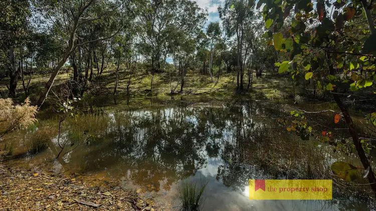 Sixth view of Homely rural property listing, 3361 Hill End Road, Mudgee NSW 2850