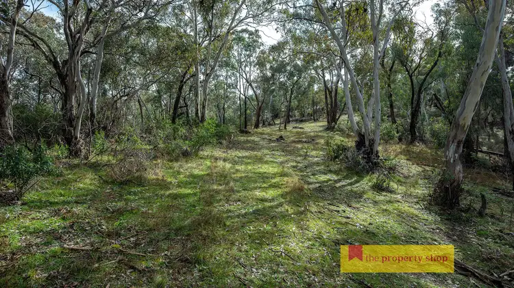 Seventh view of Homely rural property listing, 3361 Hill End Road, Mudgee NSW 2850