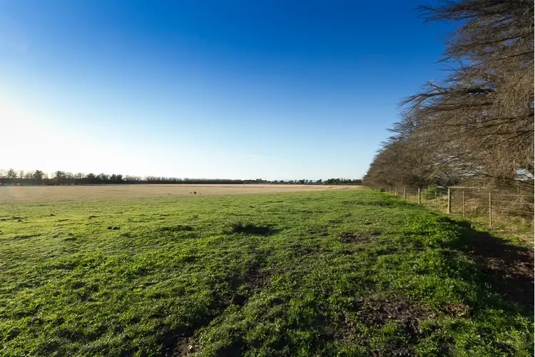 Third view of Homely rural property listing, 135 Langtree Road, Tooradin VIC 3980