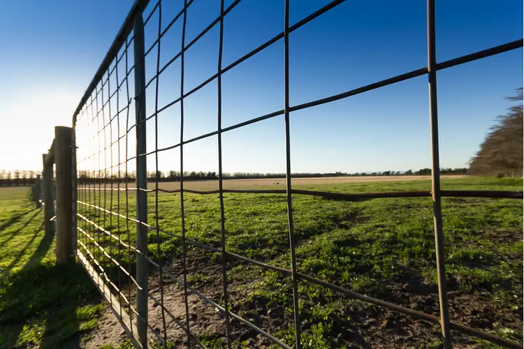 Fourth view of Homely rural property listing, 135 Langtree Road, Tooradin VIC 3980