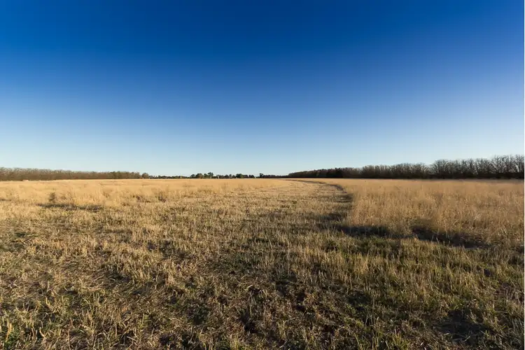 Sixth view of Homely rural property listing, 135 Langtree Road, Tooradin VIC 3980