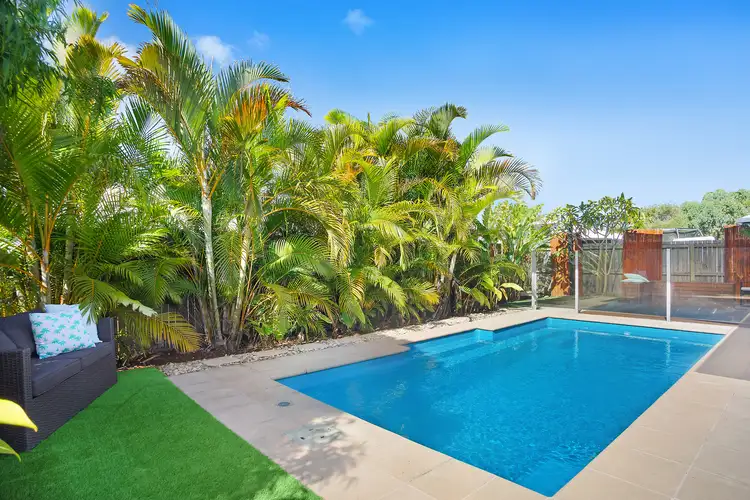 Main view of Homely house listing, 43 Sweetlip Circuit, Mountain Creek QLD 4557