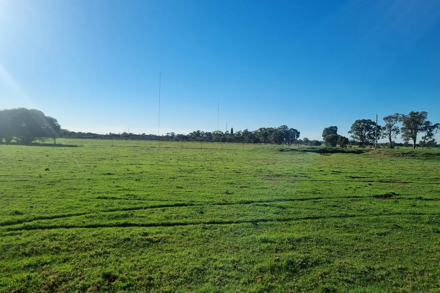Main view of Homely rural property listing, 229 Wireless Road, Waterloo WA 6228